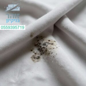 סבלתם מכתמי עובש? אנחנו מסירים כתמים כהים ומחזירים לבד שלכם את הלבן המושלם