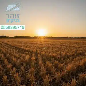 שטח נקי ומסודר אחרי אגרנות - שירות ניקיון מקצועי ומהיר התקשרו עכשיו